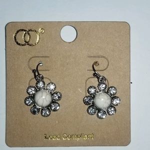 Ladies earrings